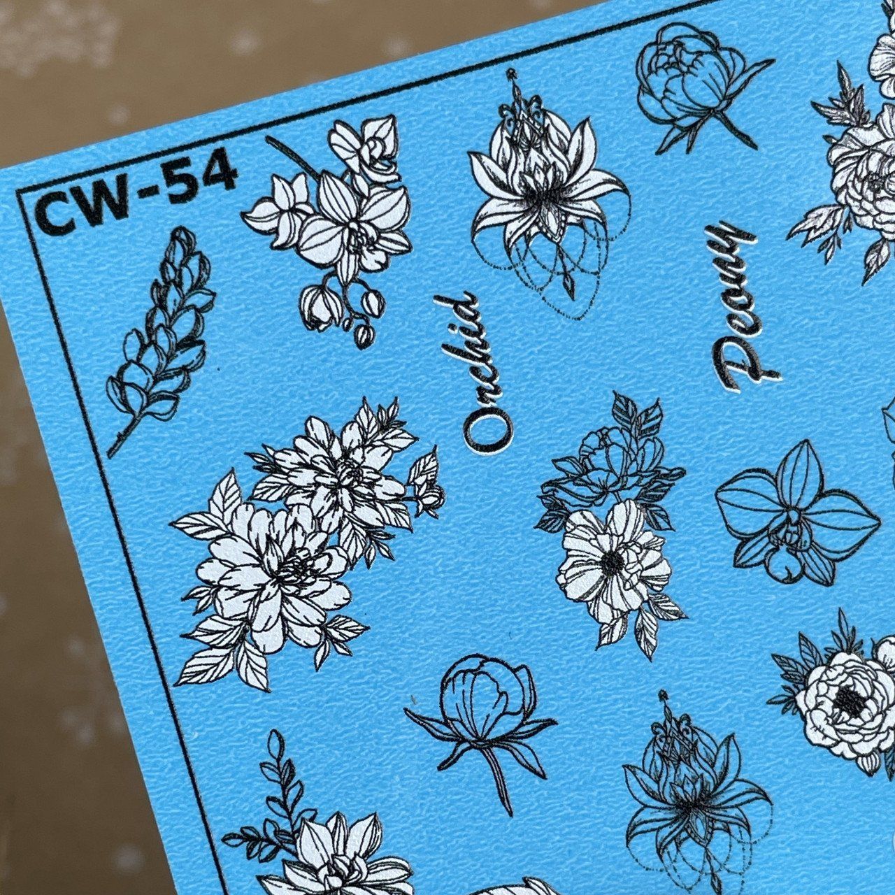 Слайдер-дизайн CW-54